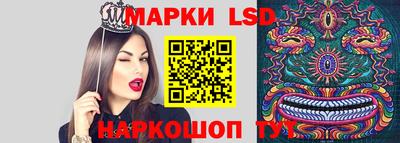 спиды Шелехов