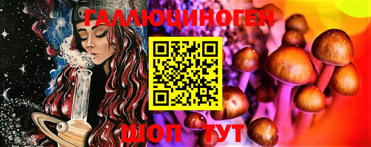 Галлюциногенные грибы Psilocybine cubensis  Вход с VPN  Большой Камень 